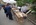 6e vide-grenier Lutter